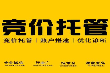 SEM代理服务：助力企业精准营销案例解析